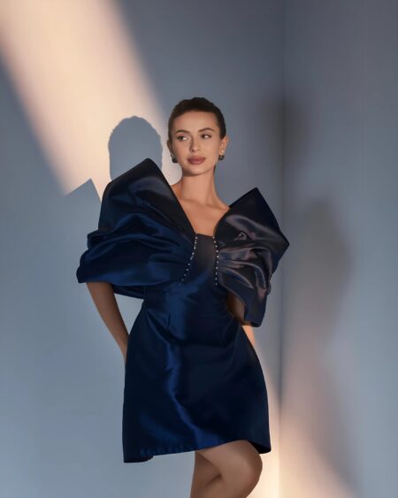 Lumière Sleeve Dress